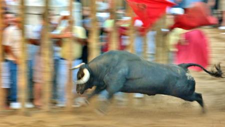 Imagen Festejos Taurinos Tradicionales